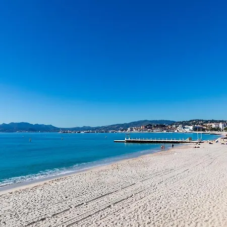 Idealement Situee A 50m De La Croisette * Cannes